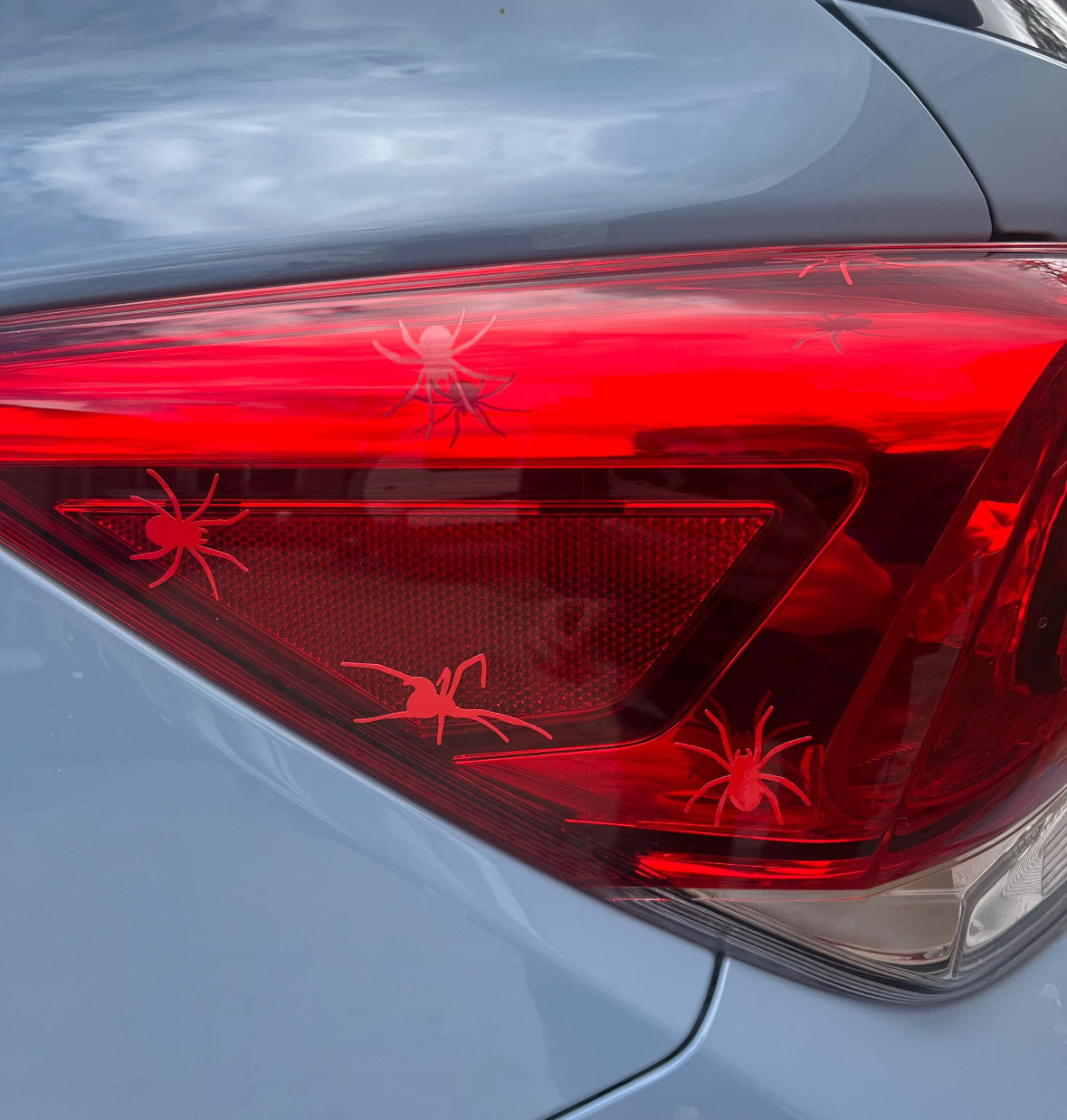 16 Spiders Headlight Taillight Decal