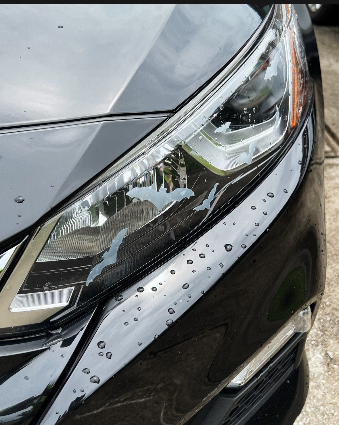 16 Bats Headlight Taillight Decals