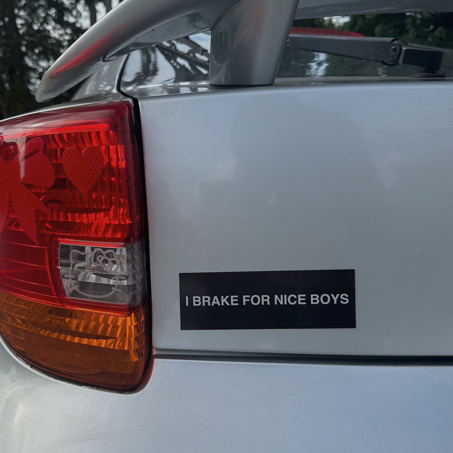 I Brake For Nice Boys Bumper Sticker